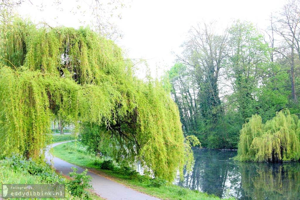 2015-05-02 Rijsterborgherpark, Deventer 007